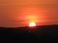 IMG_2456.webp