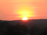 IMG_2457.webp