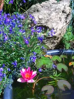 IMG_0028.webp