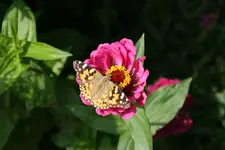 DSC00185.webp DSC00185.webp