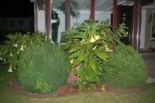 DSC_2769.webp