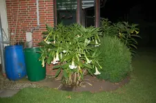 DSC_2770.webp
