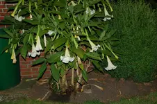 DSC_2771.webp