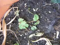 DSCF2296.webp