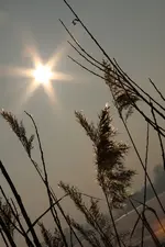 Flecken_0229.webp