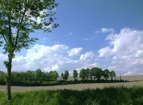H 12.webp
