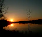 P (51).webp