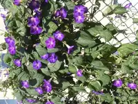 DSCF2300.webp