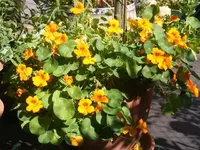 DSCF2301.webp