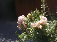 DSCF2305.webp