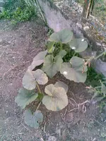 Bild063.webp