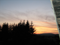 IMG_2462.webp