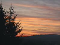 IMG_2463.webp