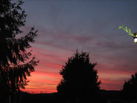 IMG_2466.webp