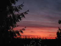 IMG_2467.webp