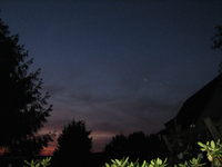 IMG_2468.webp