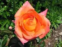 Wuerzburg_040623a.webp