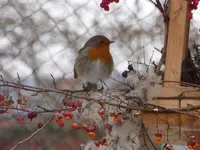 P1250900.webp