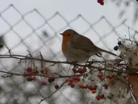 P1250942.webp