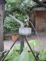 Perrot in Österreich.webp
