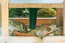 DSCF8298 (2).webp