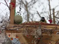 P1260136.webp