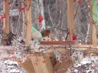 P1260145.webp