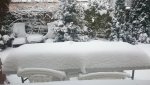 DSC_0752.jpg