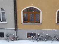 P1000837.webp