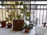 P1000840.webp
