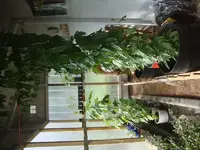 k-DSC00272.webp
