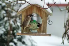 DSCF8390 (2).webp