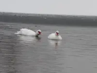 P1260188.webp