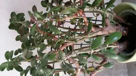 20170110_111307.webp