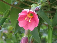 IMG_1694v (2).webp
