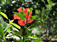 IMG_2030v (2).webp
