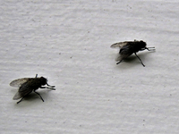 IMG_1931v (2).webp
