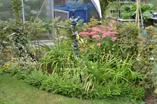 2016-09-17 Hembeet.webp