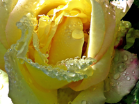 IMG_7772bt v (2).webp