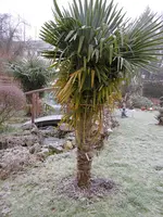 P1000091.webp