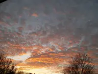 SAM_2527.webp