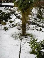 P1000103.webp