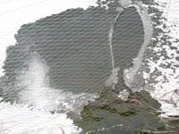 P1000111.webp