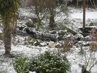 P1000120.webp