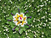 IMG_7719 (2) v.webp