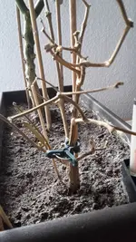 20170113_115635.webp