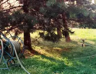 SR 15e mit GUSTI-Schlauchwagen.webp
