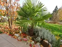 Alte Möbel Herbstspaziergang 007.webp