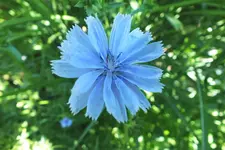 DSCF6753 (2).webp