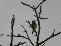 P1260270.webp